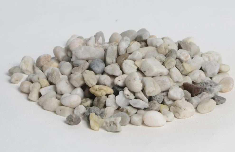 Deutscher Weißer Viertelkies